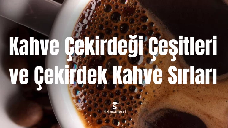 Kahve Çekirdeği Çeşitleri ve Çekirdek Kahve Sırları