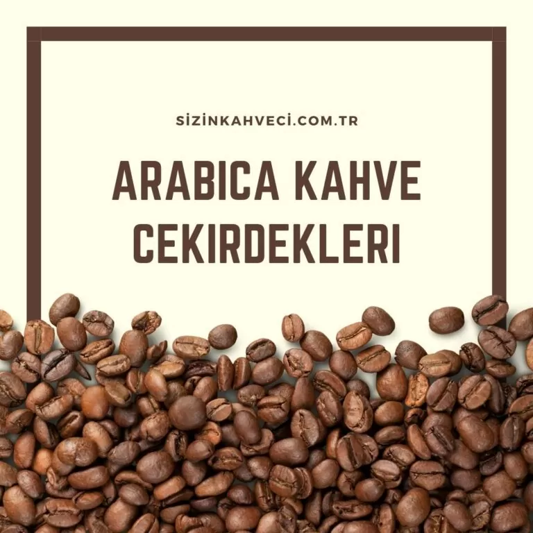 ARABİCA KAHVE ÇEKİRDEKLERİ