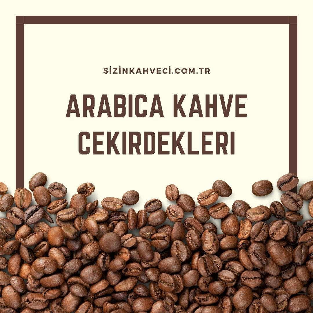 ARABİCA KAHVE ÇEKİRDEKLERİ