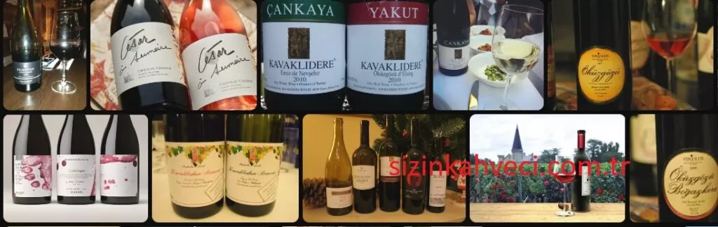 Kavaklıdere Vin-Art Şarap